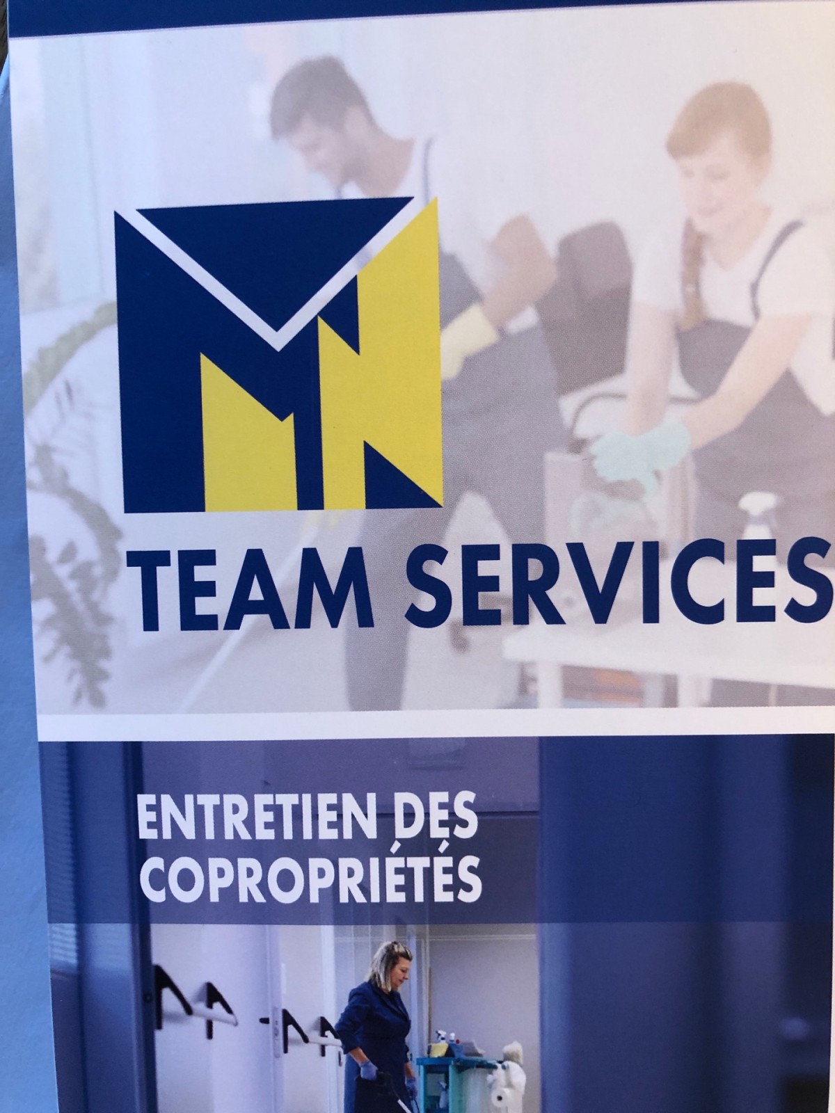 Vous cherchez un professionnel pour entretenir des espaces verts à Strasbourg ? Strasbourg  TEAM SERVICES