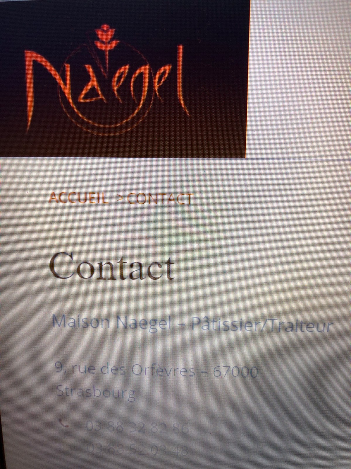 Trouver un pâtissier chocolatier artisanale au pied de la cathédrale à Strasbourg Strasbourg   Naegel 