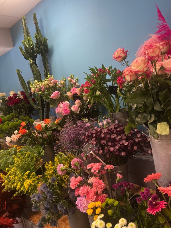 Votre magasin situé à vous, WOUSTVILLER sera définitivement fermé et ouvrira à Sarreguemines