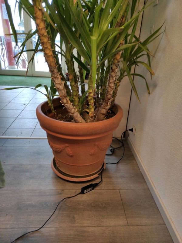 Trouver entreprise pour conception et réalisation de jardin complet à Colmar