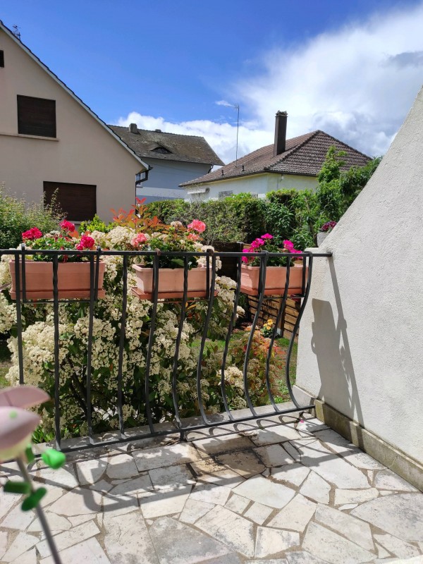 Paysagiste pour entretien de jardin maison individuelle à Colmar