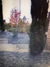  Vous recherchez un paysagiste pour l’aménagement de jardin autour de Strasbourg ?  Vendenheim  ID JARDIN