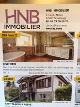  Confier son bien En gestion à une agence immobilière à Strasbourg Strasbourg   HNB IMMOBILIER 