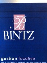 Faire gérer son appartement par une agence immobilière en plein cœur De Strasbourg Strasbourg   Bintz Immobilier 