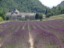 Le Mont Guillaume ( Difficile ) - Provence-Alpes-Cote-D'Azur, Hautes-Alpes (05)